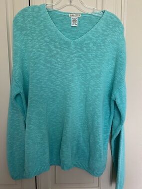 Women's Avalin Cotton V-Neck Sweater - Aqua